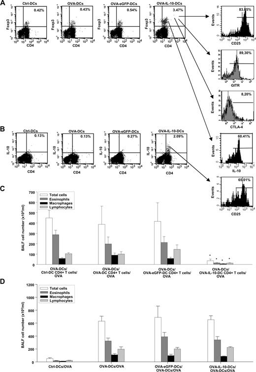 FIGURE 4. Induction of CD4+CD25+Foxp3+IL-10+ Tregs by OVA-IL-10-DCs. A and B, Mice were injected i.t. with Ctrl-DCs, OVA-DCs, OVA-eGFP-DCs, or OVA-IL-10-DCs. Five days later, MLN cells were collected and restimulated in vitro with 10 μg/ml OVA. After 43 h of OVA stimulation, cells were treated with 20 μg/ml brefeldin A. At 48 h, cells were quadruple stained for CD4, CD25, Foxp3, and IL-10. A, The percentage of Foxp3+ cells in the CD4+ MLN T cell population from the four experimental groups is given in the upper right quadrant. The right panels show the frequency of CD25+ (upper panel), GITR+ (middle panel), and CTLA-4+ (lower panel) cells in the CD4+Foxp3+ MLN T cell population from OVA-IL-10-DC-injected mice. B, The percentage of IL-10+ cells in the CD4+ MLN T cell population from the four experimental groups is given in the upper right quadrant. The lower right panel shows the frequency of CD25+ cells in the CD4+IL-10+ MLN T cell population from OVA-IL-10-DC-injected mice. The upper right panel shows the frequency of IL-10+ cells in the CD4+Foxp3+ MLN T cell population from OVA-IL-10-DC-injected mice. C, Mice were injected i.t. with Ctrl-DCs, OVA-DCs, OVA-eGFP-DCs, or OVA-IL-10-DCs. Five days later, CD4+ T cells were isolated from MLNs and injected i.t. into recipient mice sensitized with OVA-DCs 7 days before. Five days later, recipients were exposed to aerosolized OVA for 30 min/day for 5 consecutive days. Twenty-four hours after the last challenge, the BALF recovered from the recipients was subjected to total and differential cell counts. Data are presented as means ± SDs. ∗, Significantly different from the values obtained in the other groups. D, Lung sections of Ctrl-DCs/OVA, OVA-DCs/OVA, OVA-eGFP-DCs/OVA-DCs/OVA, and OVA-IL-10-DCs/OVA-DCs/OVA IL-10−/− C57BL/6 mice were stained with H&E. All these results are representative of at least three similar experiments. n ≥ 6 in each experimental group.