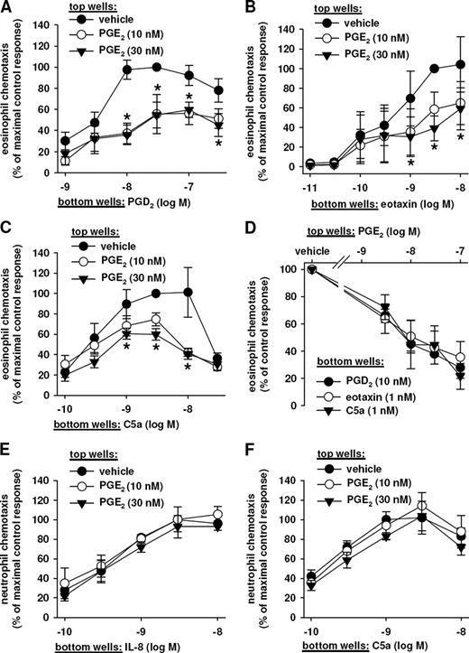 FIGURE 1. PGE2 decreases the chemotactic responsiveness of human eosinophils to chemoattractants but has no effect on neutrophil migration. A–C, Purified human eosinophils were mixed with vehicle or PGE2 (10 and 30 nM), loaded into the top wells of a micro-Boyden chamber, and allowed to migrate toward PGD2 (A), eotaxin (B), and C5a (C). D, Purified human eosinophils were mixed with vehicle or increasing concentrations of PGE2 (1–100 nM) and allowed to migrate toward eotaxin (1 nM), C5a (1 nM) or PGD2 (10 nM) in the bottom wells. E and F, Neutrophils were mixed with vehicle or PGE2 (10 and 30 nM), and allowed to migrate toward IL-8 or C5a, respectively. Chemotaxis was expressed as a percentage of the maximum response to the respective control stimulus (i.e., chemoattractant in the bottom well only). Data are shown as mean ± S.E.; n = 4–6. ∗, p < 0.05 PGE2 vs vehicle.