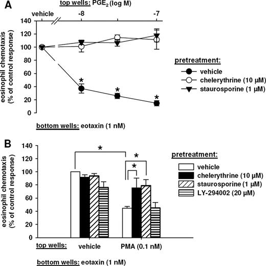 FIGURE 5. Protein kinase C inhibitors reverse the PGE2 inhibition of eosinophil migration. Purified eosinophils were pretreated with vehicle, staurosporine (1 μM), chelerythrine (10 μM) or LY-294002 (20 μM; B) at 37°C for 10 min and then mixed with PGE2 (10–100 nM; A) or PMA (0.1 nM; B). Cells were loaded into the top wells of a micro-Boyden chamber and allowed to migrate toward eotaxin (1 nM). Responses were expressed as a percentage of the control response to eotaxin. Data are shown as mean ± S.E; n = 4–8; ∗, p < 0.05 vs vehicle.