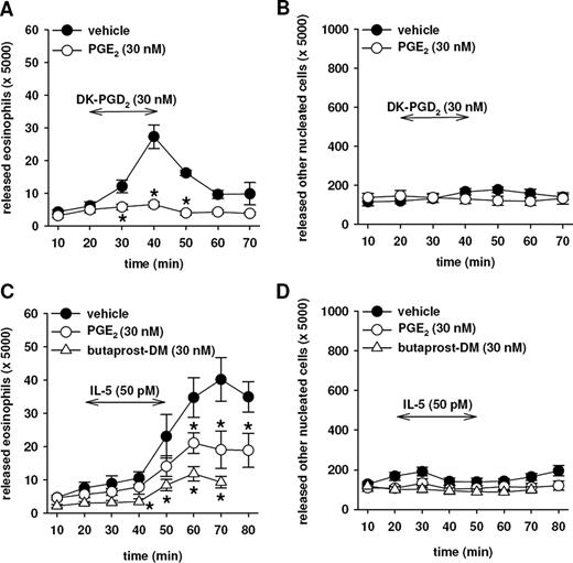 FIGURE 8. PGE2 and the EP2-selective agonist butaprost-DM attenuate the release of eosinophils from guinea pig femoral bone marrow. The isolated hind limb preparation was perfused with Krebs-Ringer solution, the effluent was collected in 10-min fractions and eosinophils and other nucleated cells in the effluent were enumerated. Infusion of 13,14-dihydro-15-keto-PGD2 (DK-PGD2; 30 nM) or IL-5 (50 pM) for 30 min (↔) caused a rapid increase in eosinophil numbers in the effluent (A and C) while the number of other nucleated cells in the perfusate remained largely unchanged (B and D). Infusion of PGE2 or butaprost-DM (30 nM), which was started 10 min before that of DK-PGD2 or IL-5, respectively, markedly depressed the eosinophil mobilization. Data are shown as mean ± SE; n = 8–9; ∗, p < 0.05 vs control.