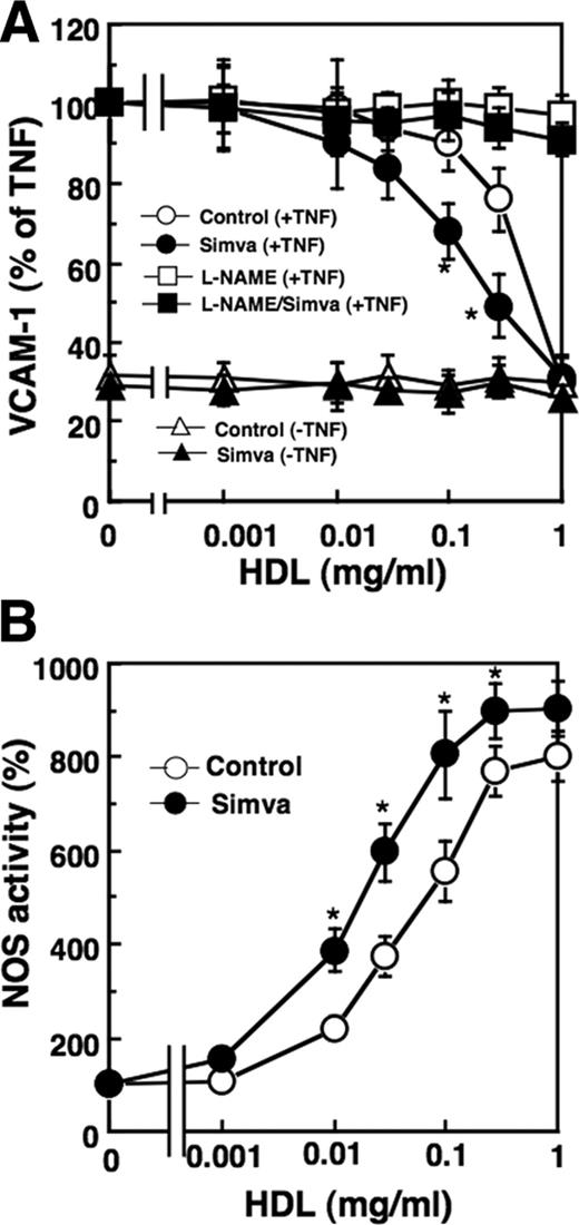 FIGURE 1. Enhancement by simvastatin of HDL-induced inhibition of VCAM-1 expression and NOS activation. HUVECs were treated with or without 100 nM simvastatin for 24 h. A, HUVECs were then incubated for 8 h with the indicated concentrations of HDL in the presence or absence of TNF-α (60 pM) and l-NAME (1 μM). Cell surface expression of VCAM-1 was analyzed by enzyme immunoassay. l-NAME exerted no significant effect on the basal VCAM-1 expression without TNF-α (data not shown). Results are expressed as percentages of TNF-α-induced activity in the absence of test agents. The value taken as 100% was 0.95 ± 0.04 (OD at 450 nm) for Control cells. Simvastatin treatment did not appreciably affect the TNF-α-induced activity. Data are the means ± SEM of three separate experiments. ∗, The effect of simvastatin was significant. B, HUVECs were incubated for 10 min with the indicated concentrations of HDL to measure NOS activity. The results are expressed as percentages of basal values in the absence of HDL. The basal enzymatic activity of NOS in control cells was 61 ± 7 pmol/mg protein/min and was unchanged by simvastatin treatment. Data are the means ± SEM of three separate experiments. ∗, The effect of simvastatin was significant.