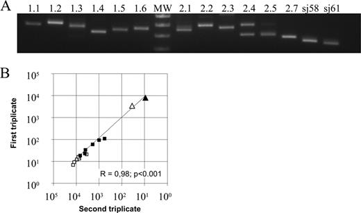 FIGURE 1. Real-time PCR quantification of sjTREC and DJβTRECs in mice. A, Nested PCR amplifications using outer and inner primers for sj-61, sj-58, DJβ1TRECs (1.1–1.6), and DJβ2TRECs (2.1–2.5 and 2.7) lead to specific amplification products. The upper band in the DJβ2.4TREC amplification corresponds to Dβ2-Jβ2.5 rearrangement. B, Reproducibility of the sjTREC, DJβ1TREC, and sj/βTREC ratio quantifications. The sjTREC (sj-61, ▴; sj-58, ▵) DJβ1TRECs (DJβ1.1–DJβ1.6TRECs, □) and DJβ2TRECs (2.1–2.5 and 2.7, ▪) frequencies were quantified twice on the same sample using nested PCR anda LightCycler technology as described in Materials and Methods. Each quantification was performed in triplicate experiments. Spearman’s correlation coefficient between both quantification and the associated probability are shown.