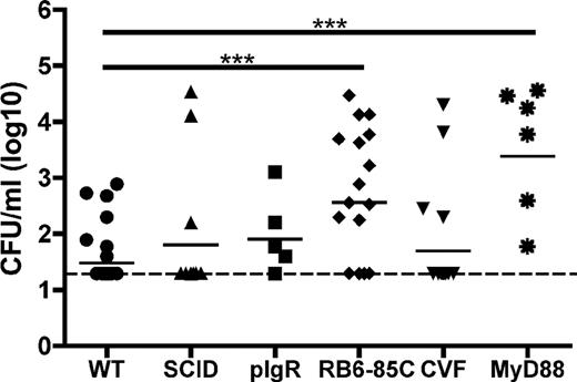 FIGURE 1. Innate immunity limits Hib colonization. The density of Hi-expressing type b capsular polysaccharide in the upper respiratory tract lavage fluid of various murine strains was determined at 3 days post-intranasal inoculation. Mouse strains included WT (C57BL6-circles), SCID (no adaptive immune responses-triangles), pIgR (no secretory Ab production-squares), RB6-85C (i.p. Ab treatment to deplete neutrophil-like cells-diamonds), cobra venom factor (i.p. cobra venom factor pretreatment to deplete complement-inverse triangles), and MyD88 (no signaling via this adaptor protein-asterisks). The log CFU/ml of H636 in the lavage fluid is indicated for each mouse and horizontal bars denote geometric mean values. The dotted line indicates the limit of detection. Statistical differences were determined using the Mann-Whitney U test; ∗, p < 0.05; ∗∗, p < 0.01; ∗∗∗; p < 0.001.