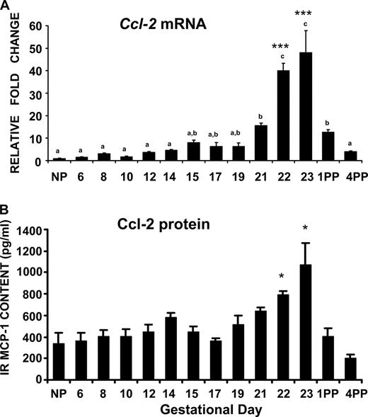 Monocyte Chemoattractant Protein1 (CCL2) Integrates Mechanical and