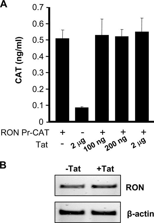 FIGURE 3. Tat does not affect RON transcription. A, 293T cells were cotransfected with RON-CAT, a plasmid in which the CAT reporter is regulated by the RON promoter and the indicated amount of Tat expression plasmid. Forty-eight hours posttransfection, CAT activity was measured by ELISA (Roche Applied Science). As a positive control for Tat activity, 293T cells were cotransfected with Tat expression plasmid and a HIV-LTR luciferase reporter construct. A total of 100 ng of Tat DNA induced HIV-LTR activity by >10-fold and 2 μg of Tat expression plasmid induced HIV-LTR activity by >200-fold (data not shown). These data are representative of at least three experiments. B, Primary mouse peritoneal macrophages were treated with (100 ng/ml) rTat for 24 h. mRNA was extracted from these cells, and RT-PCR was performed for RON expression.