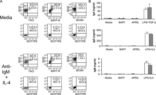 FIGURE 9. TACI expression and BAFF- or APRIL-mediated Ig secretion in anti-IgM prestimulated newborn B lymphocytes. A, TACI, BCMA, and BAFFR levels were measured on purified newborn B lymphocytes that had been stimulated with medium or anti-IgM + IL-4 for 24 h. Representative dot blots showing the percentages of B220 and TACI-, BCMA-, or BAFFR-positive cells and their isotype control Abs from one newborn mouse are depicted. Each experiment contained two to three sets of newborn mice in each group and experiments were performed three times. B, Media (□) or anti-IgM (▦) pretreated newborn B lymphocytes were restimulated with BAFF, APRIL, or LPS for 6 days and culture supernatant Ig levels were measured in ELISA. Cells stimulated with LPS + TGF-β or LPS + IL-4 served as controls. Culture supernatant IgA, total IgG, and IgM concentrations from one experiment containing one set of newborn B lymphocytes is shown. Experiment was performed three times with similar results.