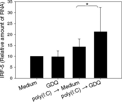 FIGURE 7. Gene expression of IRF5 is induced in poly(I:C)-stimulated human keratinocytes following incubation with the TLR7 agonist gardiquimod (GDQ). IRF5 was measured in keratinocytes treated under the following conditions: 20 μg/ml of poly(I:C) for 24 h followed by 24 h medium or 1 mg/ml GDQ incubation; 1 mg/ml GDQ for 48 h; and medium (control) for 48 h. RNA was isolated after incubation, followed by cDNA synthesis and quantitative real-time PCR for IRF5. Columns show the means ± SEM of nine experiments using keratinocytes from nine different donors. ∗, Significant differences according to Student’s t test between two modalities of incubation (p value of 0.03).