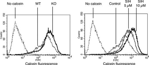 FIGURE 7. Effects of Hfe deficiency and SIH on intracellular iron levels in macrophages. Calcein fluorescence histograms of F4/80-positive wild-type and Hfe knockout macrophages (left). Fluorescence of wild-type (thin dashed histogram) and knockout (thin dotted histogram) macrophages is shown in the absence of calcein. Calcein fluorescence histograms of F4/80-positive wild-type macrophages in the absence of SIH (control), or in the presence of different concentrations of the iron chelator (right). The fluorescence in the absence of calcein is shown (thin dashed histogram). The FACS data for this experiment were acquired in parallel with those in the first experiment (left). The control and no calcein histograms are identical to the corresponding wild-type histograms on the left.