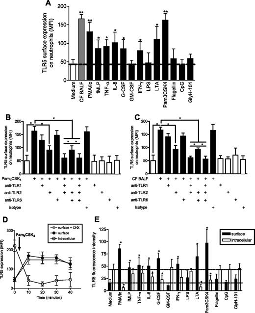 FIGURE 2. Regulation of TLR5 expression on neutrophils. A, Regulation of TLR5 surface expression. Peripheral blood-isolated neutrophils (5 × 106/ml) were incubated in RPMI 1640 medium at 37°C/5% CO2 for 30 min with CF BALF, PMA (10−7 M)/ionomycin (10−5 M), fMLP (1 μM), LTA (10 μg/ml; TLR2), P. aeruginosa LPS (100 ng/ml; TLR4), CpG (100 μg/ml; TLR9), Pam3CSK4 (10 μg/ml; TLR1/2), P. aeruginosa flagellin (1 μg/ml; TLR5), recombinant human IL-8 (72 aa, 50 ng/ml), recombinant human G-CSF (100 ng/ml), recombinant human GM-CSF (100 ng/ml), recombinant human IFN-γ (1000 U/ml), recombinant human TNF-α (50 ng/ml), or the specific CFTR inhibitor GlyH-101 (5 μg/ml). After the incubation period, neutrophils were separated by washing, were stained, and TLR5 expression was quantified by flow cytometry. Bars represent mean ± SEM. MFI (specific Ab staining minus isotype staining). ∗∗, p < 0.01, ∗, p < 0.05 vs medium treatment. B, TLR pathways engaged by Pam3CSK4. Peripheral blood-isolated neutrophils were incubated at 37°C/5% CO2 for 30 min in RPMI 1640 medium alone or with medium plus Pam3CSK4 (10 μg/ml). Where indicated, isolated neutrophils were pretreated for 30 min with anti-TLR1, anti-TLR2, anti-TLR6, a combination of the Abs, or isotype Abs (20 μg/ml) before Pam3CSK4 (10 μg/ml) stimulation. After the incubation period, neutrophils were washed and stained. TLR5 surface expression on neutrophils was quantified by flow cytometry. Bars represent mean ± SEM. MFI (specific Ab staining minus isotype staining).∗, p < 0.05. C, TLR pathways engaged by CF BALF. Peripheral blood-isolated neutrophils were incubated at 37°C/5% CO2 for 30 min in RPMI 1640 medium alone or with pooled CF BALF. Where indicated, isolated neutrophils were pretreated for 30 min with anti-TLR1, anti-TLR2, anti-TLR6, a combination of the Abs, or isotype Abs (20 μg/ml) before CF BALF stimulation. After the incubation period, neutrophils were washed and stained. TLR5 surface expression on neutrophils was quantified by flow cytometry. Bars represent mean ± SEM. MFI (specific Ab staining minus isotype staining).∗, p < 0.05. D, Expression kinetics of TLR5. Peripheral blood-isolated neutrophils (5 × 106/ml) were incubated in RPMI 1640 medium at 37°C/5% CO2 with Pam3CSK4 (10 μg/ml). At the indicated time points, neutrophils were separated by washing, were stained, and surface and intracellular TLR5 expression were quantified by flow cytometry. Where indicated, the neutrophils were pretreated for 2 h on ice with 5 μg/ml CHX and then treated with Pam3CSK4 (10 μg/ml). After the final incubation period, neutrophils were washed, were stained, and TLR5 expression was quantified by flow cytometry. Bars represent mean ± SEM. MFI (specific Ab staining minus isotype staining). E, Receptor distribution of TLR5 using confocal microscopy. Peripheral blood-isolated neutrophils (5 × 106/ml) were incubated in RPMI 1640 medium at 37°C/5% CO2 for 30 min with PMA (10−7 M)/ionomycin (10−5 M), fMLP (1 μM), LTA (10 μg/ml; TLR2), P. aeruginosa LPS (100 ng/ml; TLR4), CpG (100 μg/ml; TLR9), Pam3CSK4 (10 μg/ml; TLR1/2), P. aeruginosa flagellin (1 μg/ml; TLR5), recombinant human IL-8 (72 aa, 50 ng/ml), recombinant human G-CSF (100 ng/ml), recombinant human GM-CSF (100 ng/ml), recombinant human IFN-γ (1000 U/ml), recombinant human TNF-α (50 ng/ml), or the specific CFTR inhibitor GlyH-101 (5 μg/ml). Triton X-100 (0.05% at 4°C)- permeabilized neutrophils were used to visualize TLR5 distribution between surface and intracellular sites. Neutrophils were then stained with rabbit anti-TLR5 Abs, anti-rabbit-Ig Alexa Fluor 555, and Con A conjugated to Alexa Fluor 488. Confocal laser-scanning microscopy was performed with the Leica TCS NT laser system, including a Leica DM IRB microscope. Luminosity analysis was performed using SigmaScan Pro software. ▪, Surface expression; □, intracellular receptor pools; the two dotted lines represent the surface or intracellular fluorescence intensity of medium-treated neutrophils; ∗, p < 0.05 vs medium treatment.