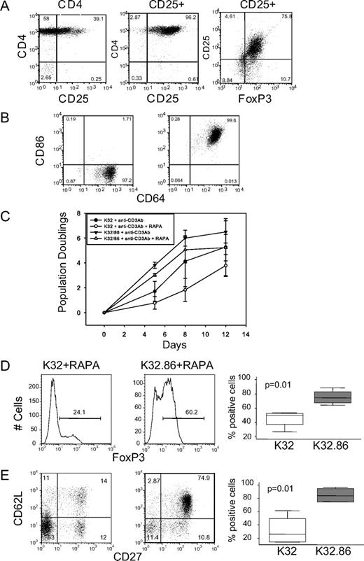 FIGURE 1. CD28 costimulation is required to consistently obtain expanded cultures enriched for Foxp3 expression. A, Analysis of CD25 expression in purified CD4 T cells (left panel) and CD25 (middle panel) and Foxp3 (right panel) expression after CD127 depletion and CD25 selection of CD4 T cells. These data are representative of the enrichment of all input Treg populations used in this study. B, Expression of CD64 and CD86 was analyzed on K64 (left panel) and K64.86 (right panel) aAPCs by flow cytometry. C, Two hundred thousand enriched Tregs were stimulated with anti-CD3 Ab-loaded K32 aAPCs and anti-CD3-loaded K32.86 aAPCs cultured in the presence and absence of rapamycin (RAPA) for 2 wk and the population doubling rate was measured by cell counting. Each data point represents the average of four independent experiments (error bars represent SD). D and E, Analysis of Foxp3 (D) or CD27 and CD62L (double positive) (E) expression on Tregs expanded with anti-CD3 Ab-loaded K32 or K32.86 aAPCs in the presence of rapamycin. The panels on the left show a representative experiment and the box plots on the right contain data compiled from four independent experiments.