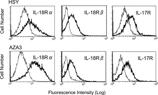 FIGURE 6. Expression of IL-18R and IL-17R on salivary gland cells. HSY and AZA3 cells were stained with anti-IL-18Rα mAb H44, anti-IL-18Rβ mAb 132029, or anti-IL-17R mAb 133617 (thick line histogram) or with control Ab (solid lines) and were analyzed by flow cytometry. The results presented are representative of three different experiments with similar results.