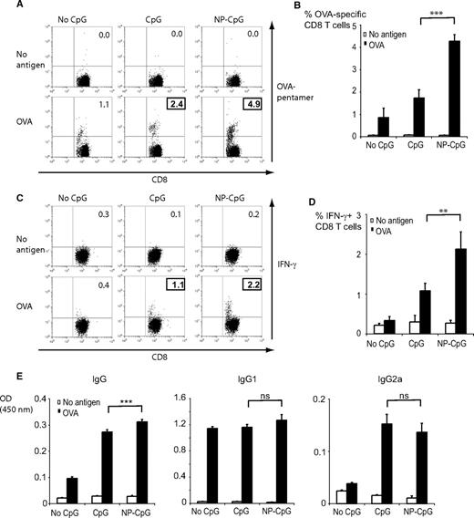 FIGURE 1. CpG-loaded nanoparticles potentiate a Th1-type immune response to OVA in vivo. C57BL/6 mice were immunized twice s.c. at a 14-day interval with OVA formulation together with 100 μg free CpG or the same amount of CpG complexed to NP (5% w/w). One week after the second immunization, spleen cells were isolated. A and B, The generation of OVA-specific CTL was assessed by flow cytometry using H-2kb-OVA257–264 peptide pentamers and an anti-CD8 mAb. C and D, Splenocytes were restimulated with the OVA257–264 peptide for 4 h and cytoplasmic expression of IFN-γ in CD8+ T cells was examined by flow cytometry. E, OVA-specific IgG, IgG1, and IgG2a were measured in serum samples by ELISA. A and C, Representative data from one experiment are gated on CD8+ cells. Numbers indicate the percent of CD8+ cells that are OVA-pentamer+ or IFN-γ+. B, D, and E, Data show the mean values of individual mice (n = 5) ± SEM. Results are representative of two independent experiments. *, p < 0.05; **, p < 0.01; ***, p < 0.001; ns, not significant.