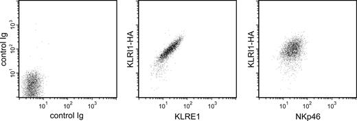 FIGURE 4. Colinear surface expression of KLRE1 and KLRI1 in NK cells. Two-color flow cytometry analysis of RNK-16 cells stably transfected with KLRI1-HA, using biotinylated anti-HA mAb and either anti-rat KLRE1 (center) or anti-rat NKp46 mAbs (right). Left, Control staining with isotype-matched nonrelevant mAbs.