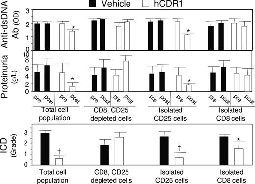 FIGURE 8. Clinical effects of hCDR1-induced CD8 cells and CD4+CD25+ cells on SLE. Two-month-old BWF1 mice (n = 5/group) were injected with three s.c. injections of hCDR1 (50 μg/mouse) or the vehicle on alternating days. CD8 and CD4+CD25+ cells were isolated from pooled splenocytes. Groups of SLE-afflicted BWF1 mice (n = 4–8/group) were adoptively transferred with cells as follows: total cell population (20 × 106/mouse), CD8 cells (7 × 106/mouse), enriched CD4+CD25+ cells (7 × 106/mouse), and cells depleted of CD8 and CD4+CD25+ cells (20 × 106/mouse). Three weeks later the recipient mice were assessed individually for clinical manifestations. The results of two independent experiments are combined and shown. Top, Anti-dsDNA autoantibodies before and after treatment (dilution of 1/50). Results are expressed as mean OD (±SD) of individual sera in each group. Middle, Proteinuria levels of individual mice. Shown are the mean levels (g/L ± SD). Bottom, Kidney sections were stained for the presence of ICD. Results are expressed as mean (±SD) intensity of ICD of all mice within a group. ∗, p < 0.05 and †, p < 0.01, compared with the recipients of total cell population from the vehicle-treated group.