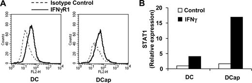 FIGURE 8. STAT1, but not IFN-γR1 expression was highly inducible in DCap cells by IFN-γ. IFN-γR1 expression by mature DC and DCap cells was compared by flow cytometry, with hamster IgG as an isotype control (A). To quantify the level of STAT1 gene expression induced by IFN-γ, mature normal DC and DCap were treated with or without addition of IFN-γ (10 ng/ml) for 12 h. STAT1 expression was then assayed by real-time PCR. The level of STAT1 in normal DC without IFN-γ was arbitrarily defined as 1 unit (B).