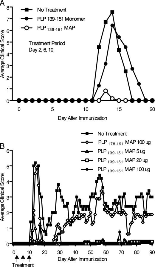 FIGURE 2. PLP139–151 MAP administered following encephalitogenic immunization inhibits subsequent development of PLP139–151/CFA-induced EAE. A, Female SJL mice were immunized with 150 μg of PLP139–151 emulsified in CFA. Immunized mice were treated in groups of eight. Following immunization, the treated groups were injected i.p. on days 2, 6, and 10 with either 25 μg of peptide monomer, an epitope equivalent amount of the PLP139–151 MAP reagent, or saline (control). MAP treatment significantly inhibited EAE compared with saline (control) treatment (p = 0.0026) or monomer treatment (p = 0.005). This experiment was repeated twice using n = 6 mice/group with similar results. B, After immunization with 150 μg of PLP139–151 emulsified in CFA groups of mice (n = 8 mice/group) were treated with PLP139–151 MAP at one of three doses (5 μg, 20 μg or 100 μg of PLP139–151 MAP) on days 2, 6, and 10 after immunization (as indicated by arrows), or with 100 μg of PLP178–191 MAP. PLP139–151 MAP treatment at all doses significantly inhibited EAE (p < 0.004); PLP178–191 MAP treatment did not significantly affect EAE (p > 0.3). This experiment was repeated once using n = 8 mice/group with similar results.