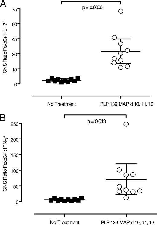 FIGURE 8. PLP139–151 MAP treatment does not impact the appearance of Foxp3+ cells in target tissue. Mononuclear cells were collected from the brains and spinal cords of mice on day 14 following immunization with the PLP139–151 peptide in CFA. Foxp3+ cells were detected by flow cytometry and cytokine-producing cells (A, IL-17; B, IFN-γ) were detected by ELISPOT. The combined results of two experiments are presented.