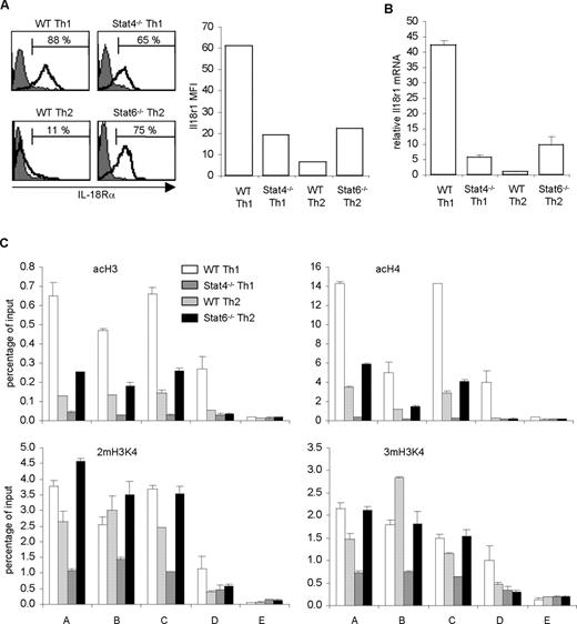 FIGURE 5. Stat4 and Stat6 regulate Il18r1 expression. A, Flow cytometric analysis of IL-18Rα expression on C57BL6 WT Th1, BALB/c WT Th2, C57BL/6 Stat4−/− Th1 and BALB/c Stat6−/− Th2 cells differentiated for 5 days as described in Fig. 1A. Shaded histograms indicate control Ab staining; open histograms represent staining with anti-IL-18Rα. Mean fluorescence intensity for cells in each population is shown in the bar graph on the right. B, RNA was isolated from cells of the indicated genotypes cultured under Th1 or Th2 conditions as shown and was used for quantitative PCR to determine Il18r1 mRNA levels relative to levels observed in Th2 cells. C, ChIP analysis was performed for AcH3, AcH4, and dimethyl- or tri-methyl H3K4 with cells cultured as in A. Quantitative PCR was performed for CNC regions, and results are expressed as percent input ± SD.