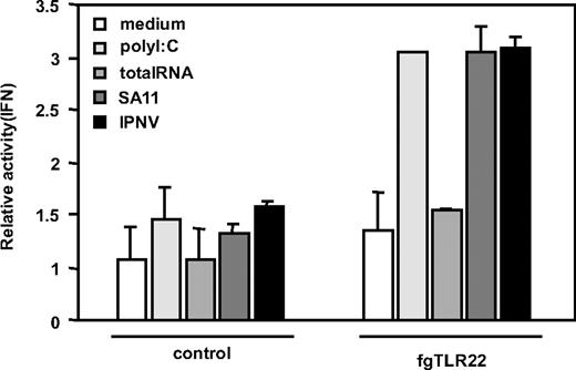 FIGURE 7. Viral dsRNA-mediated fgIFN induction interferes with fgTLR22. RTG-2 cells were transfected with the fgTLR22 plasmid (pEFBOS (fgTLR22)) or pEFBOS (vector only) and the fgIFN reporter plasmid. Twenty-four hours later, cells were treated for 6 h with medium only, poly(I:C), RTG-2 cell total RNA, or dsRNA of IPNV or rotavirus (SA11) origin. fgIFN activation was monitored by luciferase activity in the cell lysate.