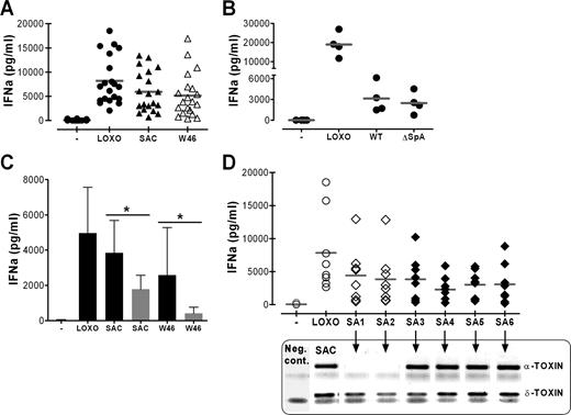 FIGURE 2. Role of S. aureus virulence factors in IFN-α induction. Enriched pDC fractions were isolated and tested for 24-h values of IFN-α secretion under different stimulatory conditions. A, Unstimulated pDC (•) and pDC stimulated with loxoribine (LOXO) as positive control (•) were compared with pDC stimulated with SpAhigh-expressing S. aureus strain Cowan I (SAC) (▴) and to pDC stimulated with SpA-deficient S. aureus strain Wood 46 (W46) (▵). The diagram shows the results from n = 20 experiments; gray lines indicate the mean values. B, Unstimulated pDC were compared with pDC stimulated with loxoribine or SA113 WT or its SpA-deficient mutant (ΔSpA). The graph shows the results obtained in four independent experiments. No significant difference between SA113 Wt and SA113 ΔSpA was found. C, Viable S. aureus cells (filled columns, Cowan strain I (SAC) and Wood 46 (W46)) and UV-inactivated S. aureus cells (gray columns, SAC UV, W46 UV) were compared with regard to their IFN-α inductory potential in enriched pDC preparations. Unstimulated and loxoribine (LOXO)-stimulated pDC were used as controls. The diagram gives the average values from n = 5 experiments ± SD. ∗, p = 0.028 for SAC compared with SAC UV; ∗, p = 0.048 for W46 compared with W46 UV. D, pDC-derived IFN-α secretion was compared after stimulation with hlyA-positive and -negative clinical isolates. The upper diagram depicts the single IFN-α concentrations obtained in n = 8 independent donors after pDC stimulation with hlyA-negative clinical isolates SA1 and SA2 (⋄) or hlyA-positive clinical isolates SA3 to SA6 (♦). Unstimulated and loxoribine (LOXO)-stimulated pDC were used as controls (○). The graph below the diagram shows the PCR results from the genomic hlyA (α-toxin) and hlyD (δ-toxin) PCRs. PCR results for genomic DNA from S. aureus reference strain Cowan I are compared with those for the clinical isolates (SA1–6) that are correlated to the IFN-α results with the black arrows.