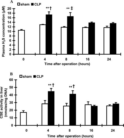 FIGURE 1. Time course study of plasma H2S level (A) and liver CSE activity (B) in CLP-induced sepsis. Male Swiss mice were subjected to CLP or sham operation. At indicated time points (4, 8, 16, and 24 h after CLP or sham operation), mice were sacrificed by an i.p. injection of a lethal dose of pentobarbitone. At 0 h, normal mice were used as control. Results shown are the mean ± SEM (n = 10–12 animals in each group). ∗∗, Indicates p < 0.01 when mice subjected to CLP were compared with normal mice. †, Indicates p < 0.05 when septic mice were compared with sham-operated mice. ‡, Indicates p < 0.01 when septic mice were compared with sham-operated mice.