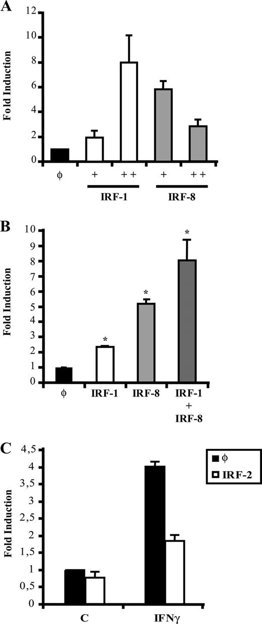 FIGURE 5. IRF-1 and IRF-8 overexpression induces TNF-α promoter activity. A, RAW 264.7 cells were transiently transfected with different doses of IRF-1 or IRF-8 expression vectors or their corresponding empty vectors (φ), and human TNF-α promoter construct. Luciferase activity was determined 24 h after transfection. Representative experiment from five with similar results are shown. +, 25 ng vector/106 cells; ++, 100 ng vector/106 cells. B, Analysis of the effects of IRF-1 and/or IRF-8 overexpression (25 ng vector/106 cells, each) on TNF-α promoter activity. The results shown are the mean of three independent experiments. *, p < 0.05, TNF-α transcriptional activity elicited by IRFs, respect to the response induced by control empty vectors (φ). C, RAW 264.7 cells were transiently transfected with IRF-2 expression vector (100 ng/106 cells) or its corresponding empty construct (φ), and the human TNF-α promoter. Sixteen hours after transfection, cells were stimulated with IFN-γ (2.5 ng/ml) and luciferase activity was determined 6 h later. A representative experiment is shown from three independent assay with similar outcomes.
