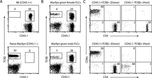 FIGURE 7. Down-regulation of CD4 on Marilyn T cells in chimeric Marilyn mice. Female Marilyn mice (CD45.1−) that were given male or female CD45.1-expressing B6 FLCs (n = 3–6 from two independent experiments) and became mixed chimeras were assessed for the expression of CD4 vs CD8α on Marilyn TCR-β+ cells. Data shown are representative plots from one experiment at >32 wk after FLC injection. A, Control staining done on a CD45.1-expressing B6 mouse (top) and a naive female Marilyn (bottom), showing the expression of CD45.1 vs TCR-β. B, top, Marilyn given female FLCs and analyzed for CD45.1 and TCR-β. Bottom, Marilyn given male FLCs. Number above each rectangular box reflects the percentage of lymphoid gated cells that were T cells of either donor (CD45.1+TCRβ+) or host (CD45.1−TCRβ+) origin. C, Donor and host T cells were examined for CD4 vs CD8α expression. Top, Recipients of female FLCs. Bottom, Recipients of male FLCs. Relevant quadrant percentages are provided. Down-regulated CD4 expression on host T cells of Marilyn mice given male FLCs was also observed at >49 wk post injection (not shown).