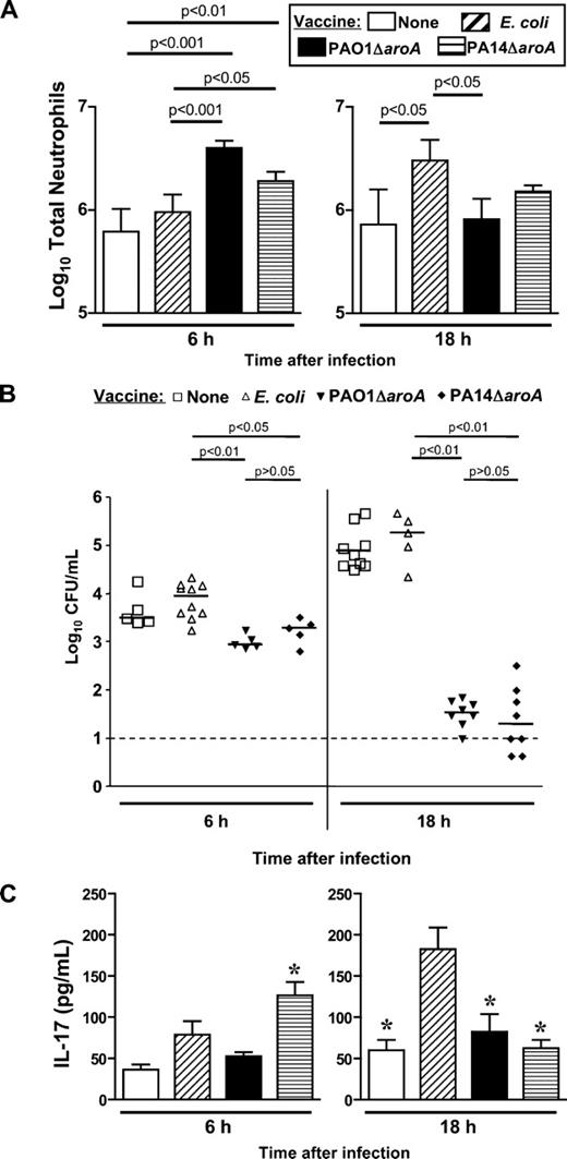 FIGURE 5. Increased neutrophil recruitment to airways early after bacterial challenge is coincident with lower bacterial CFU and higher IL-17 levels in BALF. Total BALF neutrophils (A) and bacterial CFU (B) isolated after infection of immune and nonimmune mice (n = 5–10 mice/group) with P. aeruginosa strain ExoU+ PAO1 (5 × 106 CFU). Bars represent medians and error bars the interquartile range. p-values are by Kruskal-Wallis with Dunn’s multiple comparison test. C, IL-17 concentration in BALF following infection of immune and nonimmune mice (n = 5–15 mice/group) with strain ExoU+ PAO1 (5 × 106 CFU). Bars depict means and error bars the SEM. ∗, p < 0.05 compared with E. coli control group by ANOVA with Dunnett’s multiple comparison test.