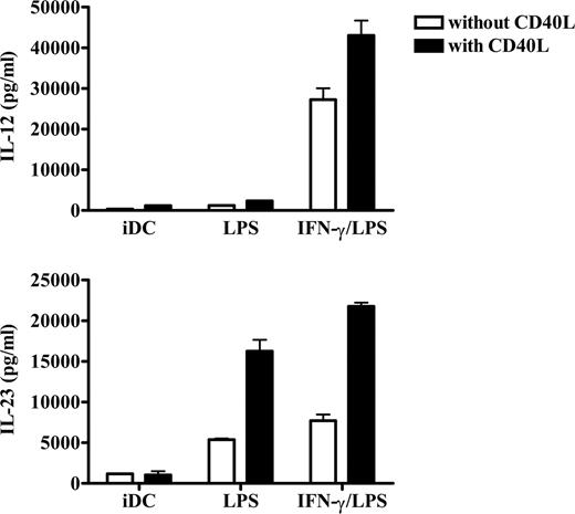 FIGURE 5. Effect of CD40L on IL-23 and IL-12/IL-23 producing DCs. Monocyte-derived DCs were cultured in duplicate wells before treatment of LPS or IFN-γ/LPS. Four hours after initial treatment, recombinant CD40L was added to the second of each of the duplicate wells. Supernatants were collected after an additional 18 h in culture and IL-12 and IL-23 were measured by ELISA. Error bars represent the SE of the mean based upon multiple measurements from a single experiment. The data shown are representative of three experiments.