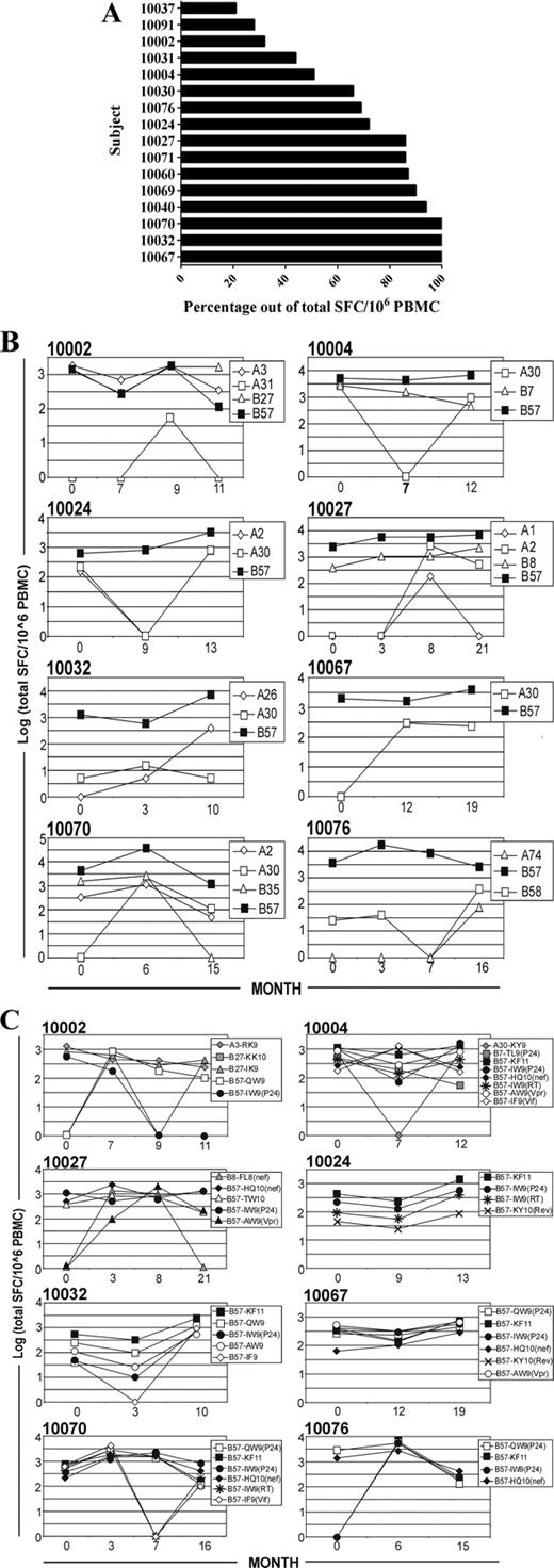FIGURE 1. HLA B57− restricted responses are dominant over time in HLA B57+ subjects. A, Black bars represent the B57 restricted responses as a percentage of total HLA class I-restricted responses. B, Total magnitude of HLA B57 restricted responses followed over time (▪). Time (in months) indicates time from subject entry into study. C, Longitudinal evaluation of the magnitude of dominant epitope-specific responses. KF11 (▪).