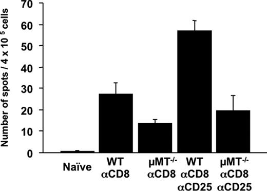 FIGURE 4. Priming of donor-reactive B6.μMT−/− CD4 T cells to MHC-mismatched cardiac allografts is not enhanced by the absence of CD4+CD25+ T cells. Groups of wild-type C57BL/6 and B6.μMT−/− mice were treated with anti-CD8 mAb with or without anti-CD25 mAb and were transplanted with A/J heart grafts. ELISPOT assays were performed on the CD8-depleted spleen cells on day 10 posttransplant to enumerate donor-reactive CD4 T cells producing IFN-γ in the spleens of the cardiac allograft recipients. Similar results were obtained in two individual experiments performed.