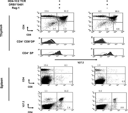 FIGURE 4. Thymic and splenic profile of Tg T cells in HD4-1C2 TCR/HLA-DRB1*0401 and HD4-1C2 TCR/HLA-DRB1*0401/RAG1 KO mice. The number of thymocytes and splenocytes in these mice is as follows: 1.5 × 108 thymocytes and 4.7 × 107 splenocytes (HD4-1C2 TCR/HLA-DRB1*0401 Tg mouse), and 3.3 × 108 thymocytes, 4.6 × 107 splenocytes (HD4-1C2 TCR/RAG1−/−/HLA-DRB1*0401 Tg mouse). Three of each genotype were analyzed. FACS plots are representative of three independent experiments.