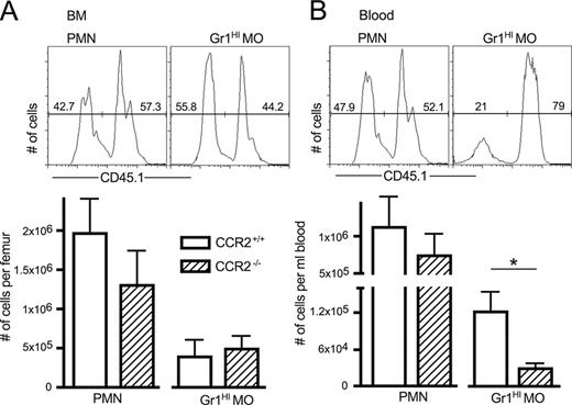 FIGURE 3. Homeostatic release of Gr1high monocytes into the blood is also controlled by CCR2. Irradiated CCR2+/+ (CD45.2) mice were reconstituted with a 1:1 ratio of BM cells from CCR2+/+ (CD45.1) and from CCR2−/− (CD45.2) mice. After 6 wk, the number of Lin−CD115−F4/80−Ly6G+Gr1+ PMN and Lin− CD115+F4/80+Gr1high monocytes were determined in the BM (A) and the blood (B). Shown are the mean ± SD of cell numbers in groups of six mice. Results are representative of two individual experiments.