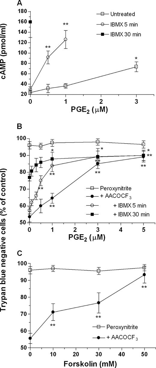 FIGURE 4. PGE2 signals survival via cAMP. A, Cells, with or without prior exposure to IBMX (300 μM), were treated for 10 min with increasing concentration of PGE2 and processed for the assessment of cAMP levels. B and C, Cells were treated for 60 min as indicated in the figure (see Materials and Methods for details) and analyzed with the trypan blue exclusion assay. Results represent the mean ± SEM from three to five separate experiments. ∗∗, p < 0.01; ∗, p < 0.05 as compared with cells treated in the absence of PGE2 (A and B) or forskolin (C) (ANOVA followed by Dunnett’s test).