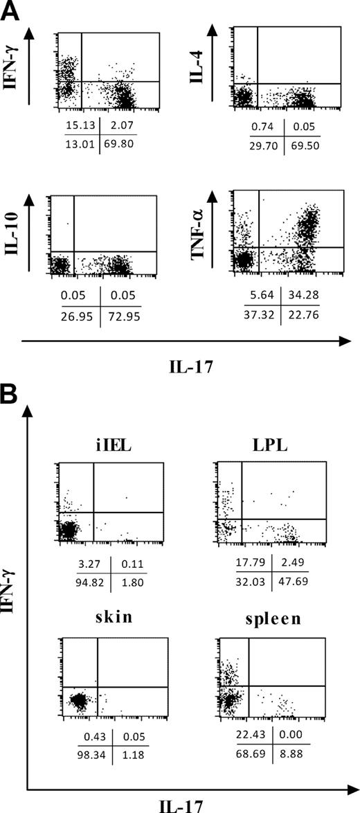FIGURE 1. Identification of IL-17-producing γδ T cell subset. A, Cytokine production by γδ T cells in the peritoneal cavity of naive C57BL/6 mice (7-wk-old) was analyzed after stimulation with PMA and ionomycin. B, Expression of IFN-γ and IL-17 in γδ T cells from various tissues was analyzed. Cells were stimulated with PMA and ionomycin and 10 μg/ml brefeldin A was added for the last 4 h of incubation followed by surface staining as described in Materials and Methods. Data were shown after gating on γδ T cells (positive for TCRδ and negative for TCRβ, B220, F4/80, and MHC class II). The number indicated under each panel indicates the percentages of positive cells in the respective quadrant. Data are representative of three independent experiments.