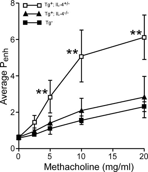 FIGURE 2. IL-4−/−/SPC-TSLP mice do not develop significant AHR. Airway responsiveness of animals was assessed by Penh reading in response to increasing dose of methacholine. Data represent mean ± SD (n = 4–5). ∗∗, Significant difference (p < 0.01, two-way repeated measures ANOVA with Bonferroni posttests) between IL-4+/−/SPC-TSLP mice and either IL-4−/−/SPC-TSLP mice or transgene negative normal littermate controls.