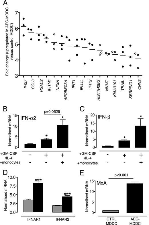 FIGURE 6. Gene expression profiling studies. A, Following flow cytometric sorting at day 5, total RNA from three paired control (CTRL) MDDC and AEC-MDDC populations was extracted and analyzed on microarrays. Genes differentially expressed in AEC-MDDCs relative to respective control MDDCs were identified using a moderated t test and were further ranked based on their fold change values. A subset of these genes representing the top 15 highest ranking genes up-regulated in AEC-MDDCs are illustrated for each pair. •, IFN-inducible genes (43 44 ); ○, non-IFN-inducible genes. Gene abbreviations: IFI27, IFN-α-inducible protein 27; CCL8, chemokine ligand 8; RSAD2, radical S-adenosylmethionine domain containing 2; IFN-induced transmembrane protein 1; NEXN, nexilin; APOBEC3A, apolipoprotein B mRNA-editing enzyme, catalytic polypeptide-like 3A; IFIT1, IFN-induced protein with tetratricopeptide repeats 1; IFI44L, IFN-induced protein 44-like; IFIT2, IFN-induced protein with tetratricopeptide repeats 2; HIST1H2BG, histone cluster 1, H2bg; NNMT, nicotinamide N-methyltransferase; KIAA0101, hypothetical protein LOC9768; SERPING1, serpin peptidase inhibitor, clade G (C1 inhibitor); CNN3, calponin 3, acidic. B, RNA extracted from sorted AEC following 5-day culture with or without IL-4-GM-CSF and/or monocytes was analyzed by quantitative real-time PCR for levels of IFN-α2 and IFN-β mRNA transcripts (C), which were normalized to the housekeeping gene EEF1A1. Results are presented for six independent experiments and expressed as mean ± SEM. ∗, p < 0.05 compared with AEC alone. D, RNA extracted from control MDDCs () and AEC-MDDCs (▪) following 5-day cultures was analyzed by quantitative real-time PCR for levels of IFNAR1 and IFNAR2 transcripts and MxA transcripts (E). Results are presented for eight independent experiments and are expressed as mean ± SEM. ∗∗∗, p < 0.001 compared with control MDDC.