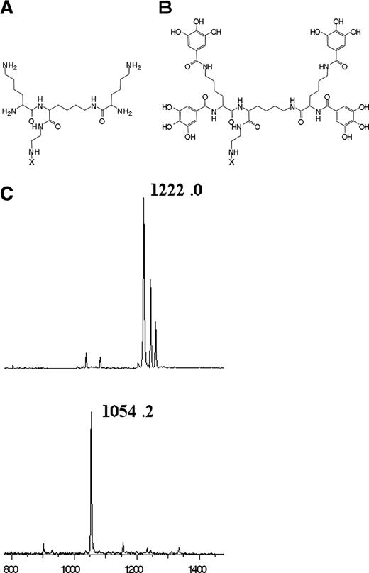 FIGURE 1. Structure and mass spectrometry of TGDK. A, d-lysine dendrimer. B, TGDK. C, MALDI-TOF mass spectrometry spectrum of intermediate compound, (3,4,5-trimethoxybenzoyl)4-d-lyseine dendrimer, and TGDK. The spectra exhibited two peaks at m/z 1222.0 and 1054.2: the upper peak is that of the ion derived from the reaction intermediate, (3,4,5-trimethoxybenzoyl)4-d-lyseine dendrimer, and the lower peak is that of the ion derived from TGDK.