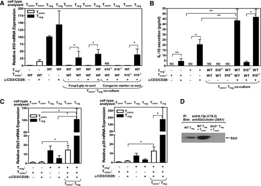 FIGURE 1. IL-35 and, to a lesser extent, IL-10 expression is potentiated by contact with Tconv. Tconv or Treg from the spleens and lymph nodes of Foxp3gfp, C57BL/6, Ebi3−/−, or Il10−/− mice were purified by FACS. A, RNA was extracted and cDNA was generated from Foxp3gfp Tconv and Treg, alone or from cocultures (resorted based on GFP expression), and from Tconv:Treg cocultures resorted based on differential Thy1 markers. Relative mRNA expression was determined by quantitative real-time PCR from the populations and conditions indicated: unstimulated, stimulated for 48 h with anti-CD3/CD28, and/or cultures containing both Tconv and Treg. B, Supernatants were collected from purified Tconv or Treg under indicated conditions, and IL-10 secretion was measured using Luminex technology. C, Relative Ebi3 (left panel) and Il12a (right panel) mRNA expression of the Tconv and Treg populations indicated using the same experimental approach described in A. D, Purified Treg in the absence or presence of Tconv were cultured for 72 h with anti-CD3/CD28. Supernatant was collected for overnight immunoprecipitation with an anti-IL-12a (p35) mAb, and eluted proteins were resolved on an SDS-PAGE gel and blotted with anti-Ebi3 mAb. Data represent the mean ± SEM of three to eight (A), six (B), and four (D) independent experiments. Statistical analysis: ∗, p < 0.05; ∗∗, p < 0.01.