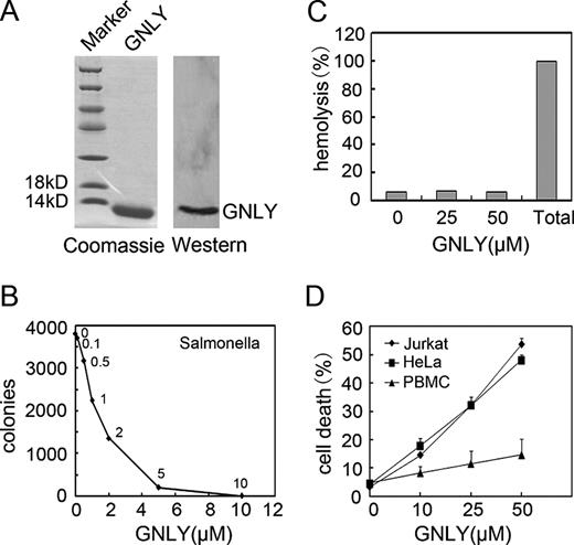 FIGURE 1. Recombinant GNLY possesses killing activity against Salmonella and target tumor cells. A, Purified recombinant GNLY protein was detected by Coomassie brilliant blue staining and Western blotting. B, Recombinant GNLY exhibits lytic activity against Salmonella. Bacterial colonies were counted after treatment by different doses of GNLY. C, Recombinant GNLY did not induce hemolysis of human RBC. Two percent RBC (v/v) were treated with GNLY at the indicated concentrations at 37°C for 4 h, and H2O-treated cells were used as 100% hemolysis. D, GNLY showed similar killing activity against Jurkat and HeLa cells. Human PBMC were isolated from healthy human peripheral blood by a lymphocyte separation kit. Jurkat cells, HeLa cells, and PBMC were treated with different doses of GNLY for 6 h and stained by annexin V and PI. Data are representative of at least four separate experiments and are shown as mean ± SD.