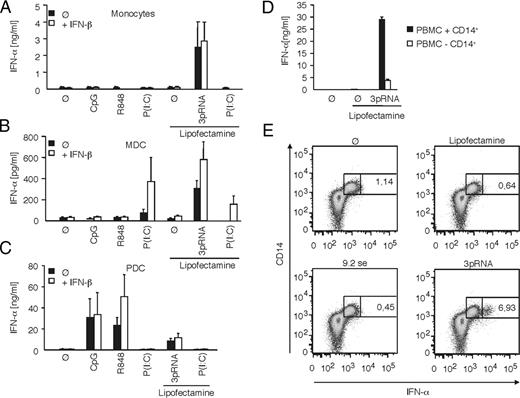 FIGURE 1. IFN-α is induced in monocytes, mDC, and pDC upon stimulation with 3pRNA. A–C, Monocytes, mDC, and pDC were isolated from human PBMC, primed with 500U/ml IFN-β (white bars) for 3 h or left untreated (black bars). Cells were stimulated with CpG ODN 2216 (3 μg/ml), R848 (5 μg/ml), poly(I:C) (10 μg/ml), Lipofectamine alone, 3pRNA (200 ng), and poly(I:C) (200 ng), complexed with Lipofectamine, or left untreated. After 20 h of incubation, supernatants were collected and assayed for IFN-α production by ELISA. Data are expressed as the mean ± SEM of four (monocytes, mDC) and six (pDC) independent experiments. D, PBMC with or without CD14+ monocytes were transfected with Lipofectamine alone or 3pRNA complexed with Lipofectamine. No stimulus served as a control. Supernatants were collected 24 h after stimulation and IFN-α was measured by ELISA. Mean ± SEM of two independent experiments is shown. E, Intracellular staining of IFN-α is shown and plotted against CD14 surface staining. PBMC were transfected with Lipofectamine alone or with Lipofectamine complexed with RNA 9.2-sense or 3pRNA and IFN-α production was assessed by flow cytometry after 7 h. Untreated PBMC (⊘) served as a control. Numbers represent IFN-α-positive cells out of the CD14-positive cell population. One of two representative experiments is depicted. ⊘, Untreated.