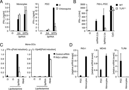 FIGURE 2. Recognition of 3pRNA occurs through differential pathways in monocytes and pDC. A, Monocytes and pDC were preincubated with 1000 ng/ml chloroquine (white bars) or left untreated (black bars). After 30 min, cells were stimulated with 3pRNA GA or 3pRNA GFPs complexed with Lipofectamine or control (no stimulus, ⊘). Supernatants were collected 20 h post-stimulation and IFN-α production was determined by ELISA. Mean ± SEM of two independent experiments is shown. B, Sorted pDC from Flt3 ligand-induced bone marrow cultures of wild-type (WT; black bars) and TLR7-deficient mice (TLR7−/−; white bars) were transfected with synthetic ssRNA 2.2-sense (ssRNA 2.2s), 3pRNA 2.2-sense (3pRNA 2.2s), or CpG 2216 (3 μg/ml). After 24 h, supernatants were collected and IFN-α production was quantified by ELISA. Data are expressed as the mean ± SEM of two independent experiments. C, Monocyte-derived DC were electroporated with siRNA directed against RIG-I or control siRNA. Forty-eight hours after electroporation, cells were transfected with 3pRNA complexed to Lipofectamine. No stimulus, Lipofectamine alone, and R848 (5 μg/ml) served as control. Supernatants were collected 24 h after transfection and cytokines were quantified by ELISA. Mean ± SEM of two independent experiments is depicted. D, pDC and monocytes were isolated from human PBMC and relative expression of RIG-I, MDA5, and TLR9 was determined by quantitative real-time PCR. Mean ± SEM of two independent experiments is depicted. ⊘, Untreated.