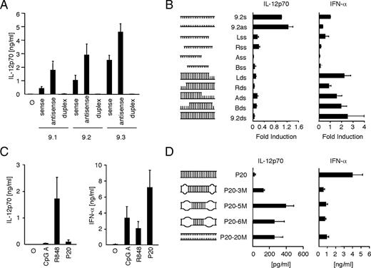 FIGURE 8. Selection of structure and sequence for the induction of IL-12 or IFN-α. A, Monocytes were transfected with different versions of ssRNA and dsRNA using pLa as indicated. Supernatants were collected and subjected to ELISA for determination of IL-12p70 production 24 h after transfection. Mean ± SEM of three independent experiments is shown. B, Different versions of RNA 9.2-sense (s) were annealed with 9.2-antisense (as) to form partial or complete RNA duplexes and subsequently transfected into PBMC using pLa. The respective ssRNA molecules served as controls, whereas the sense strand was used for normalization. After 24 h supernatants were analyzed for IL-12p70 and IFN-α production (mean ± SEM, n = 2). C and D, PBMC were transfected using pLa with a self-complementary ssRNA (P20) and a panel of its derivatives containing an increasing number of mismatches within the complementary regions (P20-3M, P20-5M, P20-6M, and P20-20M). CpG A 2216 (3 μg/ml) and R848 (5 μg/ml) served as controls. Supernatants were analyzed for IL-12p70 and IFN-α production 24 h post stimulation (mean ± SEM, n = 2). ⊘, Untreated.