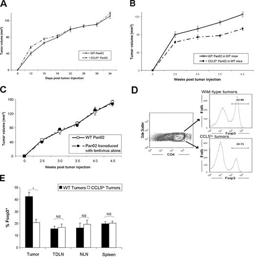 FIGURE 5. Knockdown of CCL5 production by tumors results in slowed tumor growth via a Treg-mediated mechanism. A, Tumor growth equivalence of CCL5 knockdown Pan02 compared with wild-type (WT) Pan02 when implanted in Rag−/− mice (n = 6 in each group). B, CCL5low Pan02 or wild- type Pan02 were injected into C57BL/6 mice (five mice in each group), and the resultant tumors were serially measured. p = 0.001 for the separation of the tumor growth curves (repeated measures ANOVA). C, Tumor growth equivalence of Pan02 tumor transduced with lentivirus alone compared with wild-type Pan02 when implanted in wild-type C57BL/6 mice (n = 10 in each group). D, Four weeks after tumor inoculation, mice injected with either CCL5low Pan02 or wild-type Pan02 were sacrificed, and cells were isolated from tumor, TDLN, NLN, and spleen. Flow cytometry was performed (D), analyzing for percent of CD4+ cells that were Foxp3+ Treg cells. E, There was a significant reduction in Treg infiltrating CCL5low tumors, compared with wild-type tumors. However, prevalence of Treg in other compartments (TDLN, NLN, and spleen) did not differ between CCL5low and wild-type tumors. Data represents mean ± SEM for the prevalence of CD4+Foxp3+ Tregs as a percentage of CD4+ cells, from three independent experiments, with two to three mice in each group. ∗, p < 0.01; NS, nonsignificant.