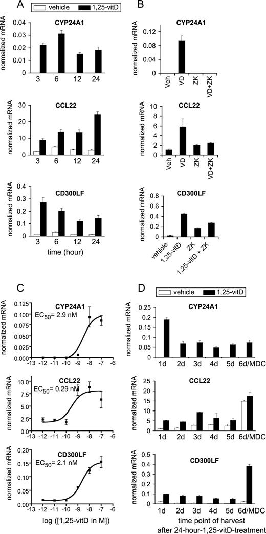 FIGURE 5. Characterization of 1,25-vitD-dependent regulation of CYP24A1, CCL22, and CD300LF. CD14+ monocytes were isolated from peripheral blood and cultured in the presence of IL-4 and GM-CSF. Differentiating cells were treated with 1,25-vitD (VD), VDR antagonist ZK159222 (ZK), or vehicle (Veh) 14 h after setting up the culture (A–C) or as shown (D). Expression of CYP24A1, CCL22, and CD300LF was determined by qPCR. A, CYP24A1, CCL22, and CD300LF expression of differentiating DCs treated with 10 nM 1,25-vitD for various times. B, The effect of 10 nM 1,25-vitD, 1 μM ZK159222, or the combination of them on the transcription of CYP24A1, CCL22, and CD300LF after 12 h. Vehicle was used as a negative control. C, CYP24A1, CCL22, and CD300LF expression after a 12-h treatment with varying concentrations of 1,25-vitD. EC50 values for 1,25-vitD are indicated. D, 1,25-vitD sensitivity is retained during differentiation and partly during maturation. Effects of 24-h ligand treatment were tested by adding 1,25-vitD at subsequent days from day 0 (monocyte) through day 5 and harvested 24 h later. The day (d) of harvest is indicated on the graphs. The 5-day IDCs were treated with mixture of proinflammatory cytokines (TNF-α, IL-1β, IL-6, and PGE2) and 1,25-vitD.