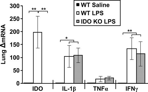 FIGURE 5. Induction of proinflammatory cytokines is normal in IDO-deficient mice. Lungs from WT and IDO−/− mice were collected from the same mice described in Fig. 4 at 6 h following injection. Steady-state mRNA expression of IDO, IL-1β, TNF-α, and IFN-γ in lung samples was analyzed by real-time RT-PCR. Data represent means ± SEM (n = 2–4 mice/group). Bars indicate statistical differences among groups. ∗, p < 0.05; ∗∗, p < 0.01. Average Ct values for LPS treated mice were 26.5 ± 0.3 for IDO, 21.7 ± 0.5 for IL-1β, 21.8 ± 0.8 for TNF-α, and 27.9 ± 1.4 for IFN-γ. KO, knockout.