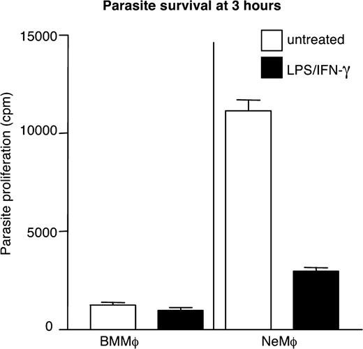 FIGURE 6. Untreated NeMφ take up the most L. mexicana parasites. BMMφ and NeMφ were untreated (open bar) or were treated overnight with LPS/IFN-γ (filled bar) followed by infection with L. mexicana at 10:1 parasite/Mφ ratio. Parasites that were not taken up were washed off 3 h postinfection, and parasite uptake was determined by lysis of the Mφ and measurement of the parasite proliferation by [3H]thymidine incorporation. Results are shown as the means of replicate samples (±SEM) and are representative of three experiments.