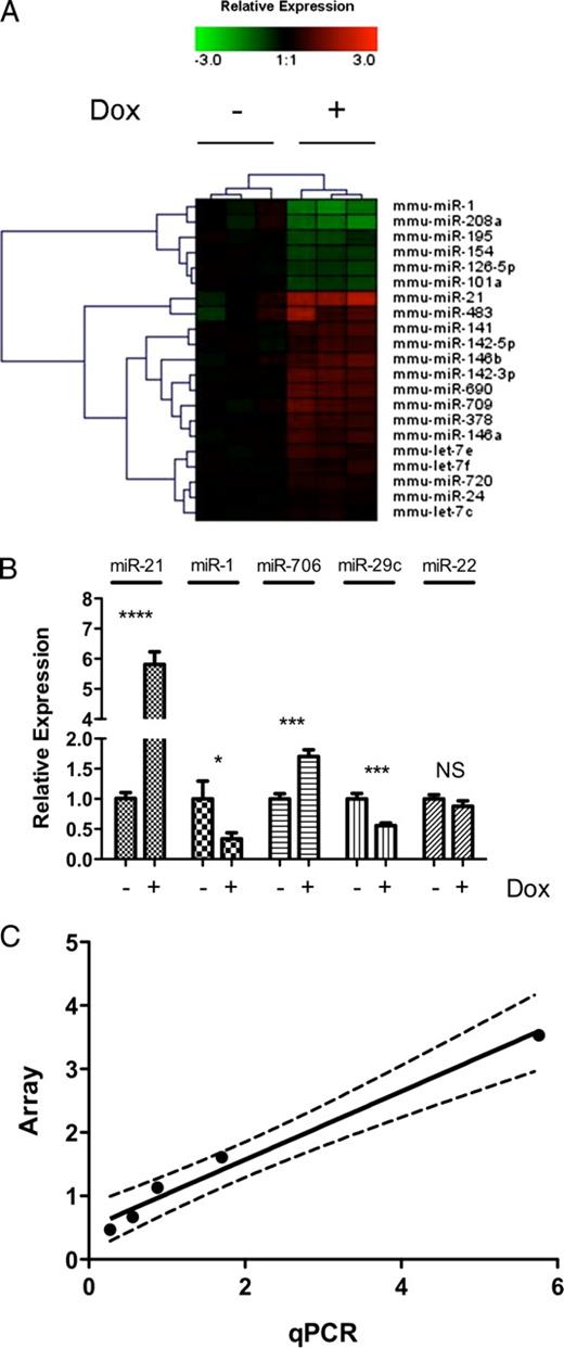FIGURE 1. MiRNA expression profile in IL-13 transgenic mice lung. A, Heat map of 21 differentially expressed miRNAs following no doxycycline (−) and doxycycline (+) exposure for 28 days. Relative expression is log2 transformed. B, qRT-PCR validation of a selected set of miRNA probes normalized to snoRNA202. ∗, p < 0.05; ∗∗∗, p < 0.001; ∗∗∗∗, p < 0.0001. C, Correlation of miRNA microarray and qRT-PCR validation; dashed line represents 95% confidence interval. Data are represented as mean ± SEM; n = 5–7 mice per group; data representative of three experiments.