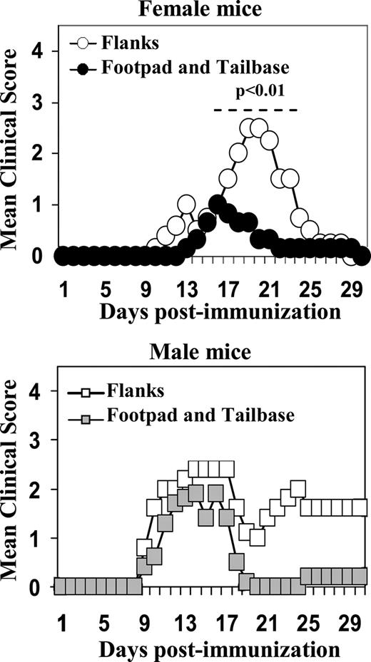FIGURE 1. Induction of EAE in male and female B10.PL following immunization with Ac1-9 peptide at different sites. Male and female mice (five mice per group) were immunized in the footpad/tailbase or in the flanks with 200 μg of the N-terminal-acetylated epitope of MBP, Ac1-9, emulsified in CFA supplemented with 4 mg/ml Mycobacterium. A total of 200 ng of pertussis toxin was i.p. administered on days 0 and 2 after immunization. The clinical score of EAE was determined daily as described in Materials and Methods. Disease incidence (number of mice showing disease symptoms/total number of mice) for each group was as follows: females, 2/5 mice (footpad/tailbase-immunized) and 4/5 mice (flank-immunized); males, 4/5 mice (footpad/tailbase-immunized) and 4/5 mice (flank-immunized). p < 0.01, significant differences determined by Mann-Whitney U test were observed between female B10.PL mice immunized in the footpad/tailbase vs the flanks from days 17–23. No significant differences were found in male mice following immunization at different sites. Data are representative of at least four independent experiments.