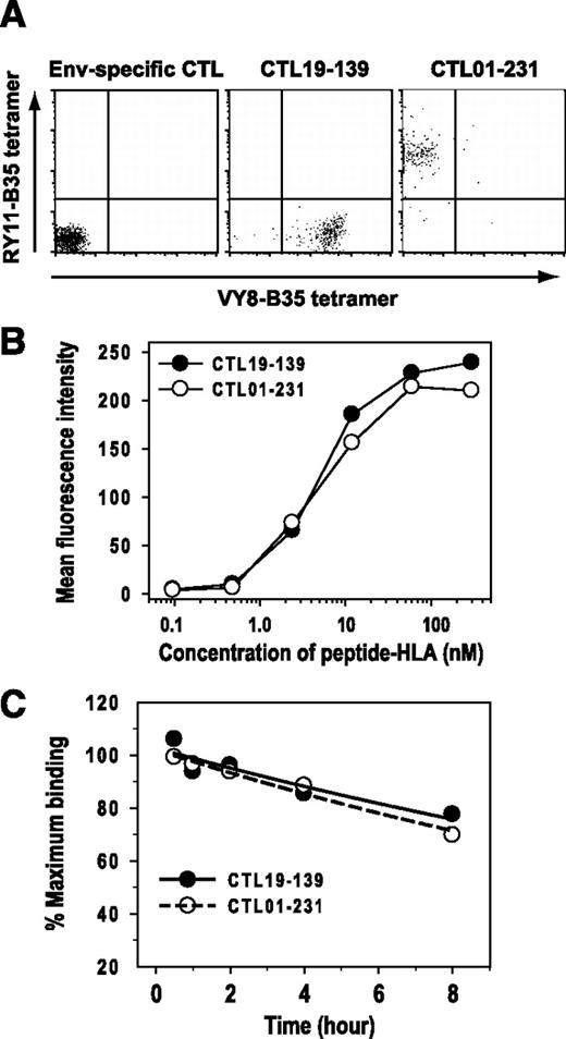 FIGURE 2. HLA tetramer analysis of CTL clones. A, CTL clones specific for an Env peptide, VY8 (CTL 19-139) or RY11 (CTL 01-231), were stained with HLA-B35 tetramers in complex with VY8 or RY11 that had been labeled with PE or allophycocyanin, respectively. In the flow cytometric analysis, a live CD8+ subset was gated and analyzed for binding with HLA-B35 tetramers. B, CTL 19-139 and CTL 01-231 were separately stained with various concentrations of PE-conjugated HLA-B35 tetramers in complex with their cognate peptides and analyzed by flow cytometry. An independent experiment gave similar results. C, Kinetic analysis of dissociation of HLA-B35 tetramers from CTL 19-139 and CTL 01-231 that had been stained with their cognate HLA-B35 tetramers. An independent experiment gave similar results.